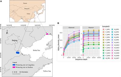 Effects of Sex and Diet on Gut Microbiota of Farmland-Dependent Wintering Birds